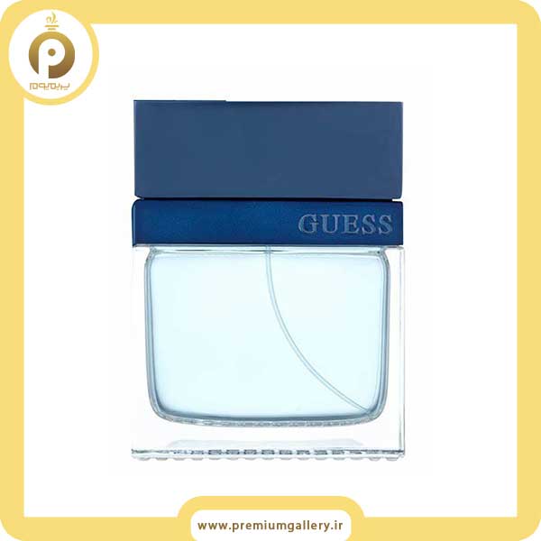 Guess Seductive Homme Blue