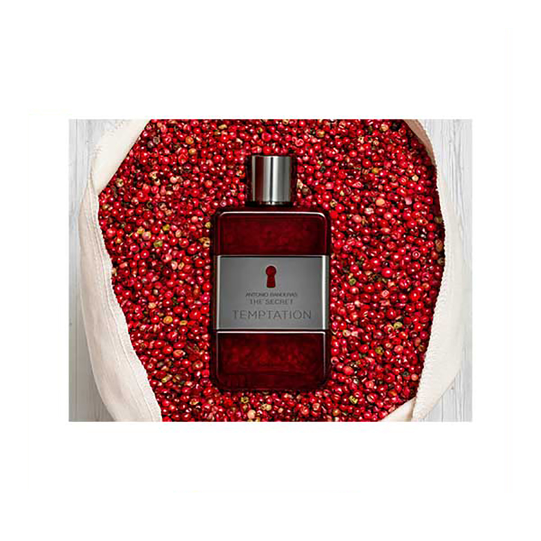 Antonio Banderas The Secret Temptation